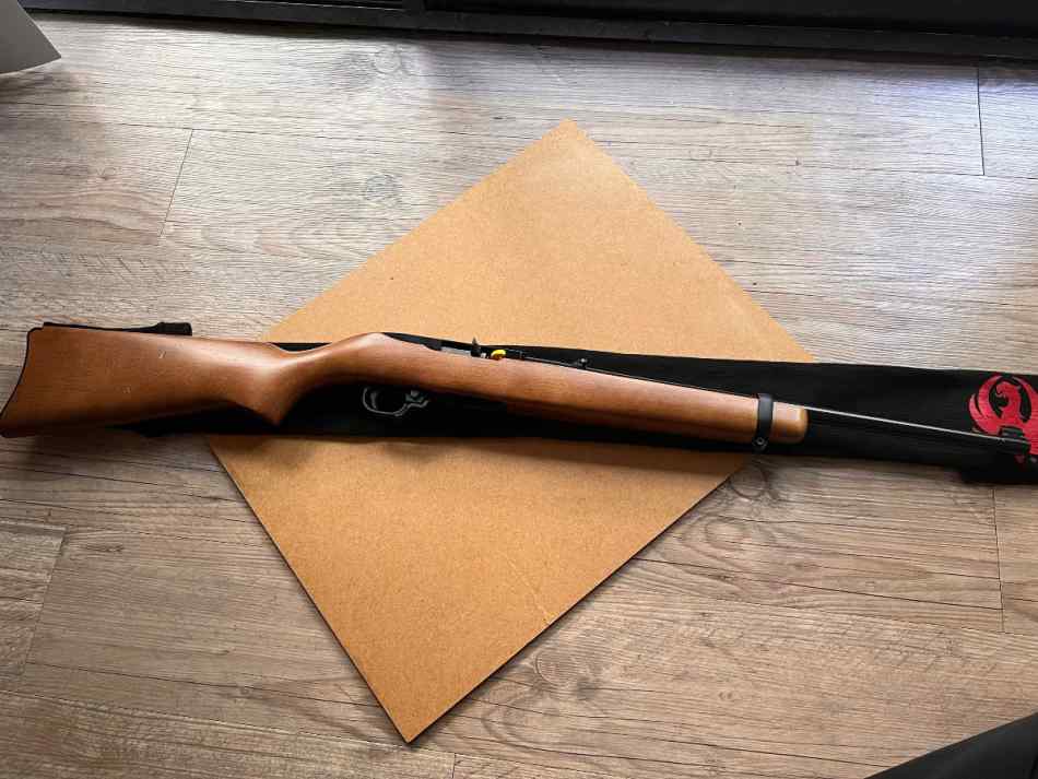 Ruger 10/22