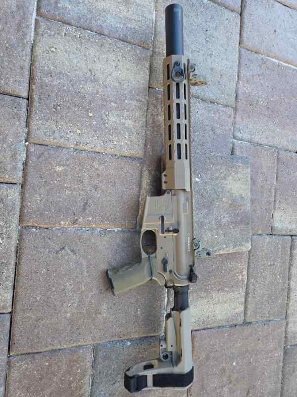 Custom .300 Blackout Suppressed AR 15