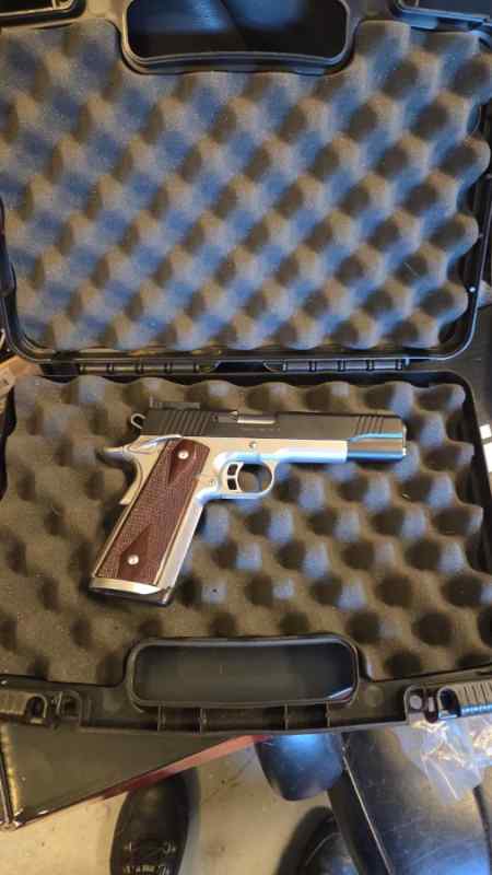 Kimber 2.jpeg