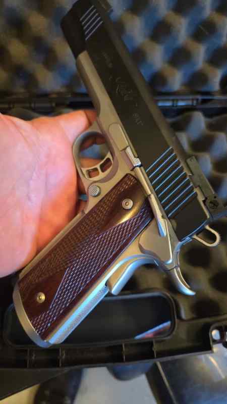 Kimber 4.jpeg